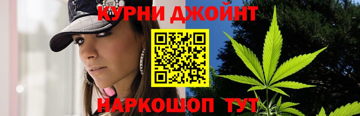 Каннабис план Дзержинск